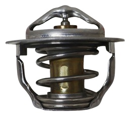 Термостат в сборе